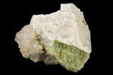 Yellow-Green Fluorapatite Crystal in Calcite - Ontario, Canada #137101-1